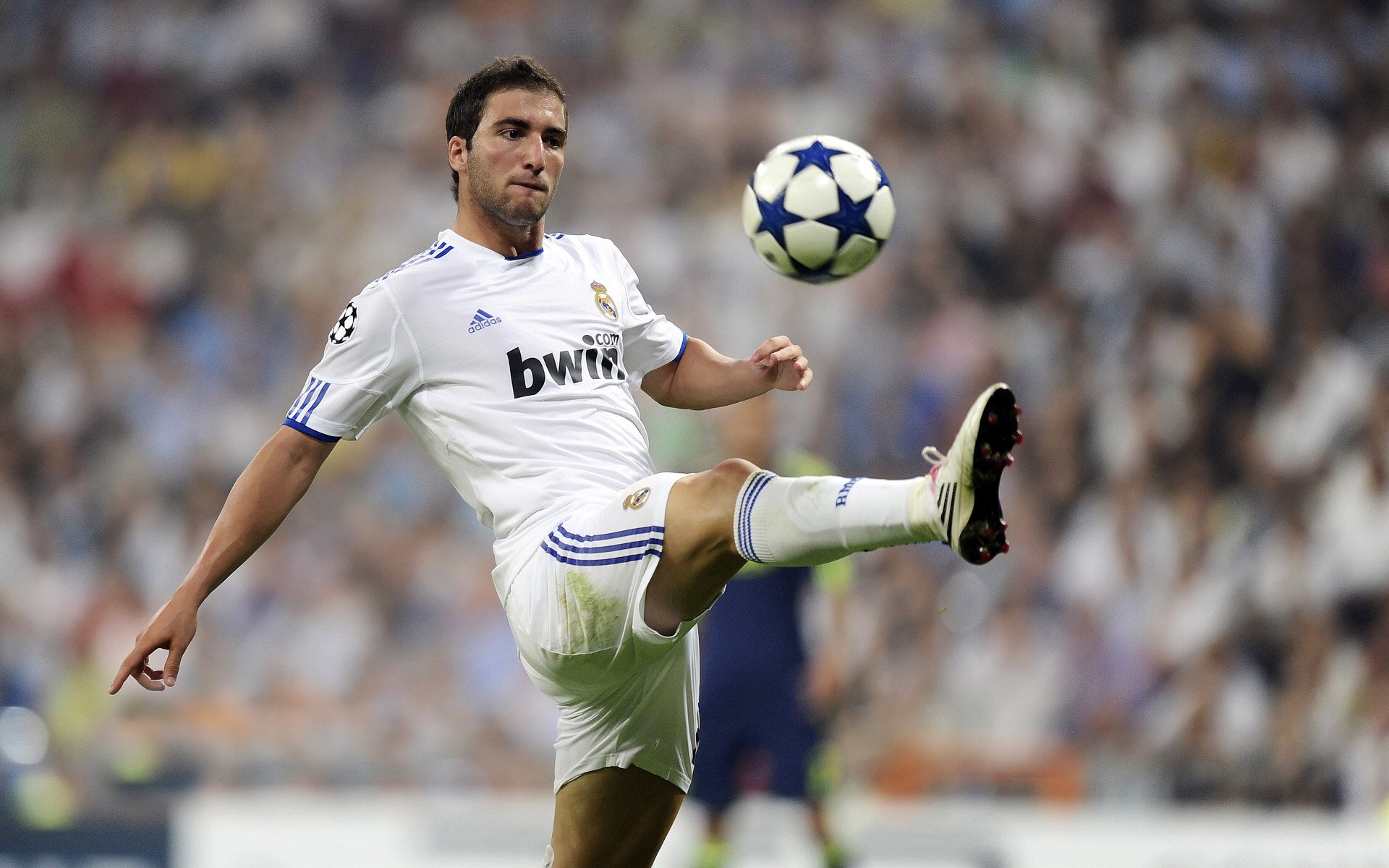 开云综合服务-亚冠联赛国足战平 球员表现中规中矩，亚冠国家队