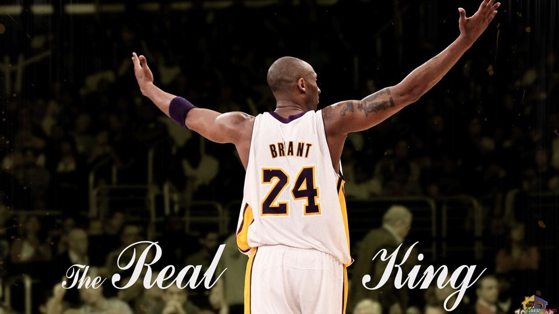 明星专访孙杨谈复出与争议,曝孙杨正式复出